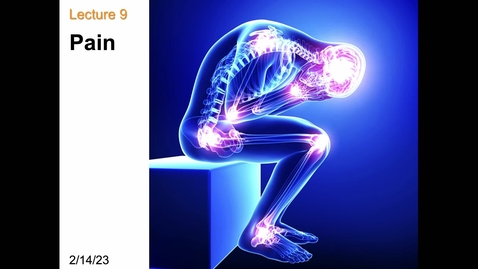 Thumbnail for Lecture 8_Pain_021423