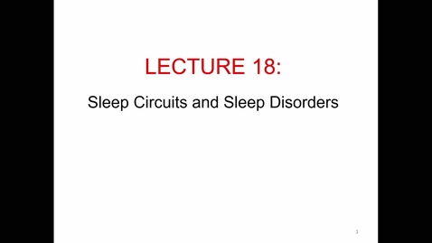 Thumbnail for Lecture 18