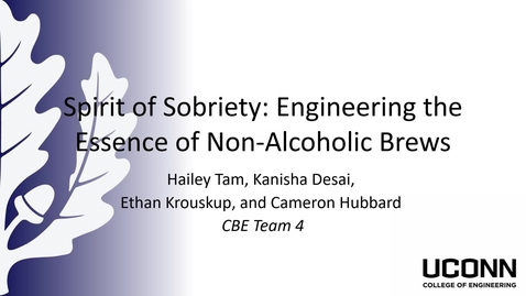 Thumbnail for SD2024.CBE04