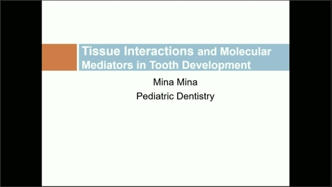 Thumbnail for OHP-FDSC 9161-01:  Tooth Development (1.24.23)