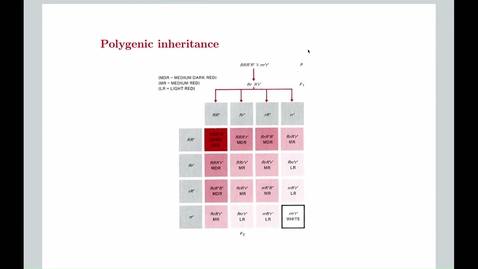 Thumbnail for EEB 5348 - 9 November 2023