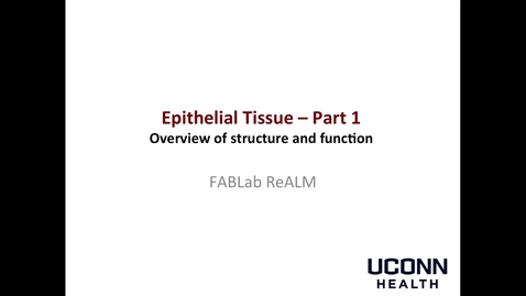 Thumbnail for entry Epithelial Tissue - Part 1, Structure and Function