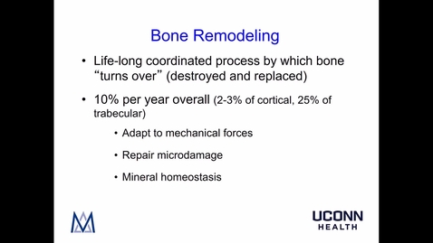 Thumbnail for Bone Remodeling