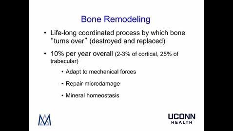Thumbnail for entry Bone Remodeling