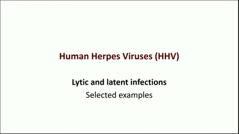 Thumbnail for entry OP11 - Viral Infections I - Human Herpes Viruses