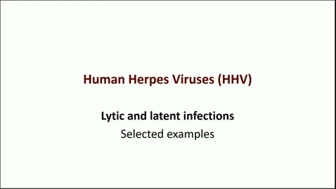 Thumbnail for OP11 - Viral Infections I - Human Herpes Viruses