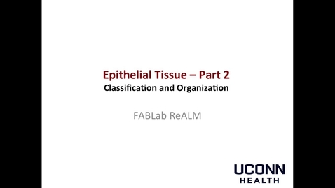 Thumbnail for entry Epithelial Tissue - Part 2, Classification and Organization