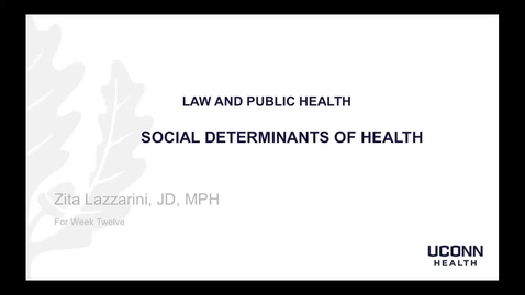 Thumbnail for 12-Lazzarini-Social Determinants of Health
