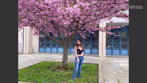 Thumbnail for Anissa campaign