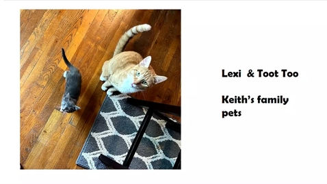 Thumbnail for LAW-F21-Civil Procedure-Lahav