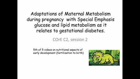 Thumbnail for Adaptations of Maternal Metabolism during pregnancy