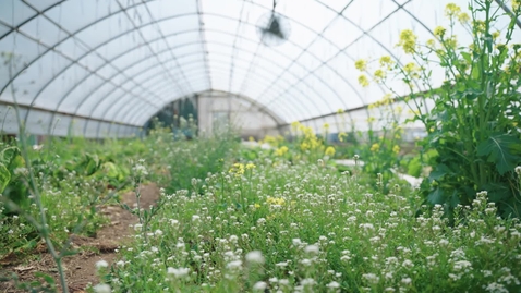 Thumbnail for UConn Extension Farm to School: Seasonality