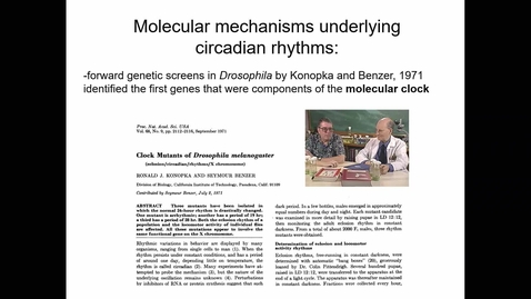 Thumbnail for Lecture 17