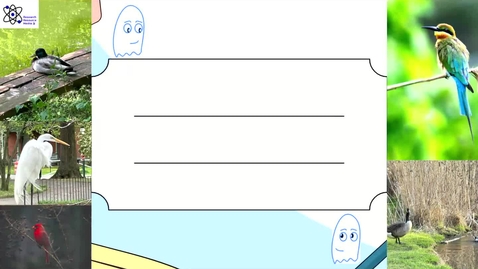 Thumbnail for Intro to Ornithology - Part 1