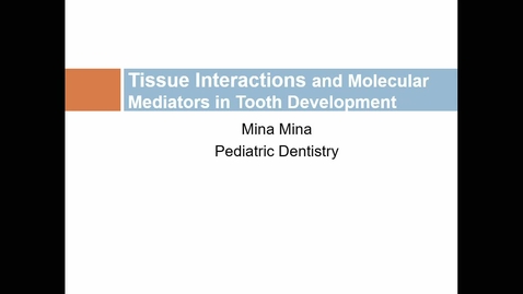 Thumbnail for OHP25-01: Tooth Development