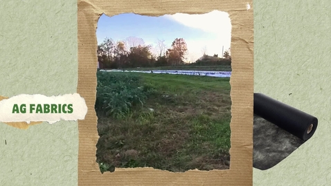 Thumbnail for Module 8 - Hedgerows