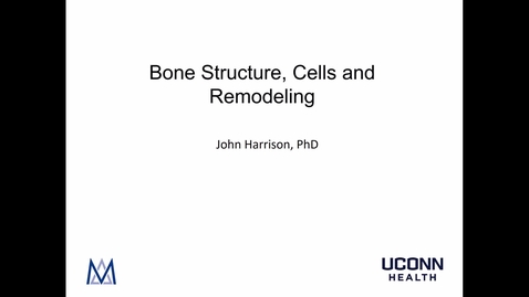 Thumbnail for Bone Structure and Bone Cells