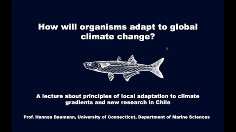 Thumbnail for Principles of adaptation to climate gradients in space and time - and new research in Chile!