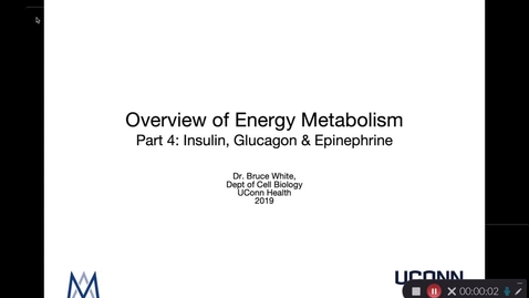 Thumbnail for Overview of Energy Metabolism Part 4