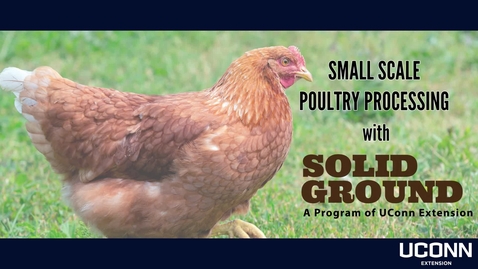 Thumbnail for Small Scale Poultry Processing
