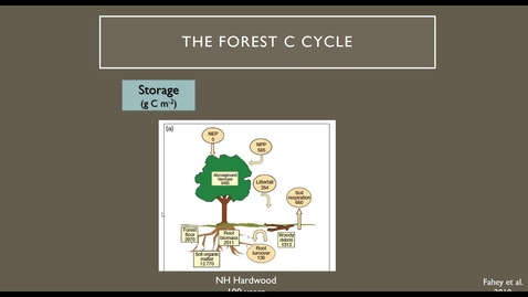 Thumbnail for entry Connecticut’s Changing Forests: What it Means for Carbon Dynamics and Climate Resilience