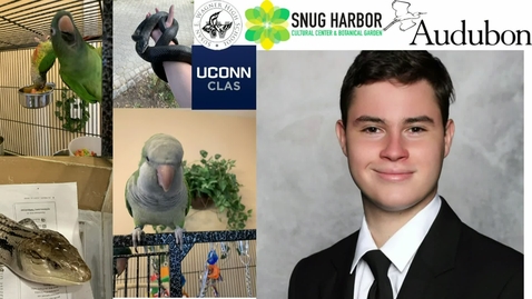 Thumbnail for Introduction - Dave Tolmach and Overview of My Research