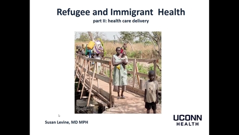 Thumbnail for Framing the topic 2: refugee and immigrant heath*
