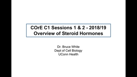 Thumbnail for Overview of Steroid Hormones