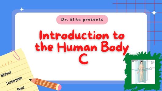 Introduction to the Human Body C
