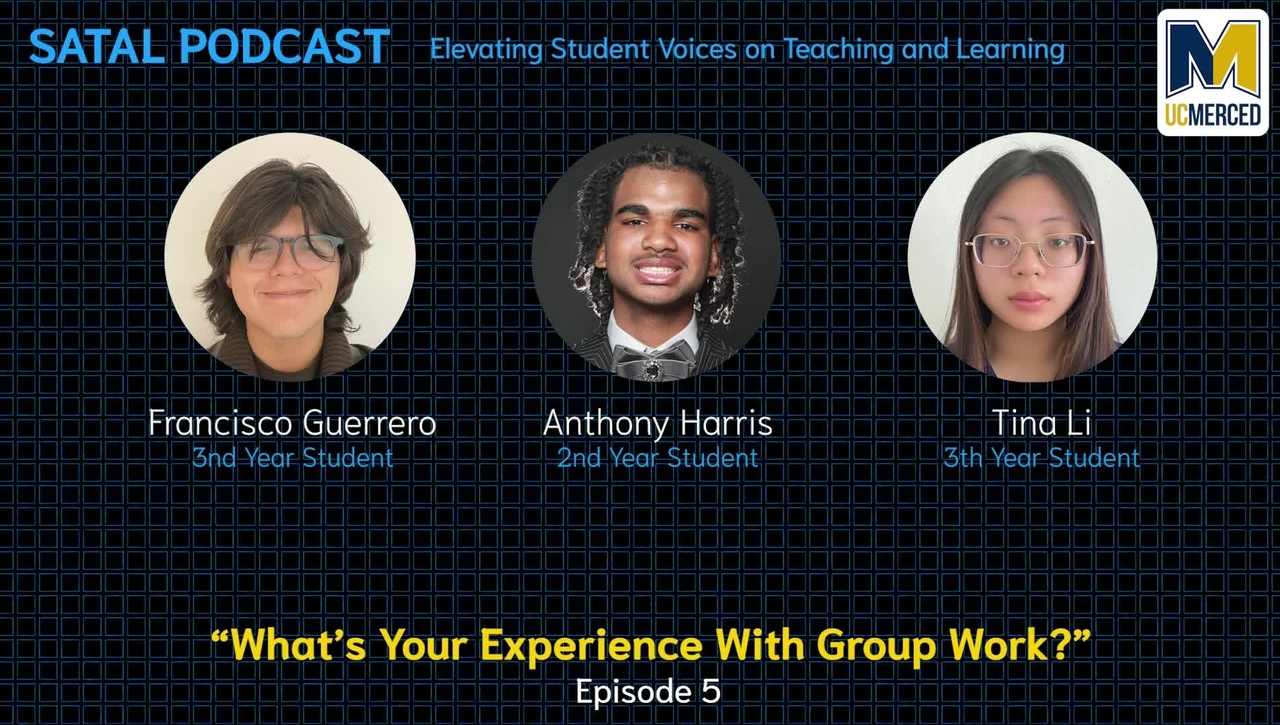 SATAL Podcast Episode 05 - What is your experience with group work?