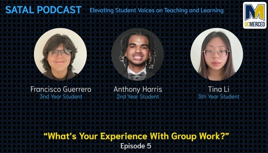 SATAL Podcast Episode 05 - What is your experience with group work?