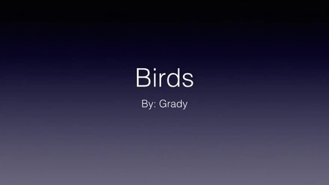 Thumbnail for entry Birds: by Grady