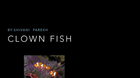 Thumbnail for entry Clown Fish: by Shivani