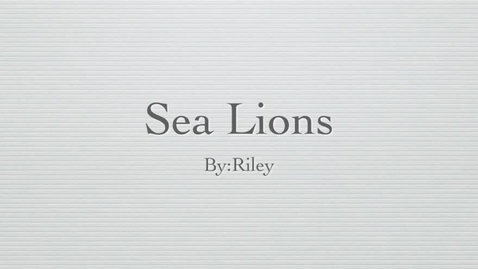 Thumbnail for entry Sea Lions: by Riley