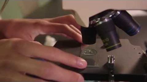 Thumbnail for entry How to Use a Compound Microscope