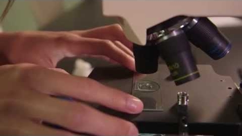 Thumbnail for How to Use a Compound Microscope