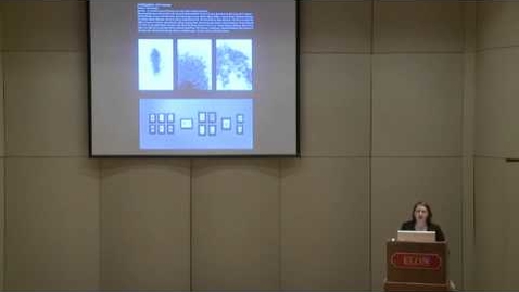 Thumbnail for Jelena Berenc's studies three artist parallels of life