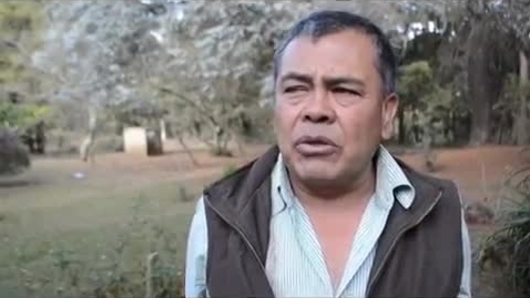 Miniatura para Testimonios sobre el  Diplomado Formacion Ciudadana