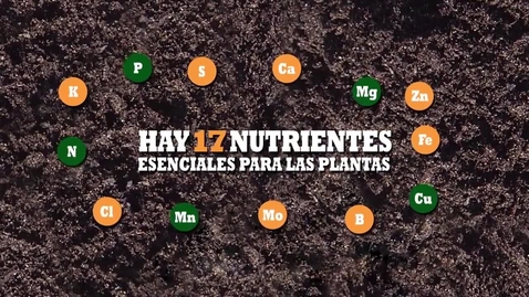 Miniatura para Nutrientes
