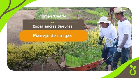 Miniatura para Experiencias Seguras - Manejo de cargas
