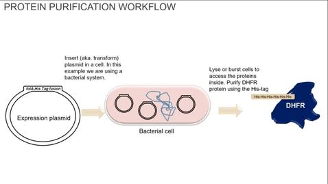 Thumbnail for Module 2 Example 2 - experimental setup