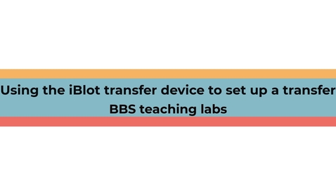 Thumbnail for entry BBS Module 3 Western blotting - the transfer