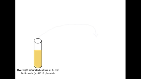 Thumbnail for entry 3C09 growth curves video 2