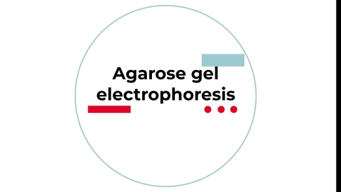 Thumbnail for entry Module 1 agarose gel electrophoresis setup