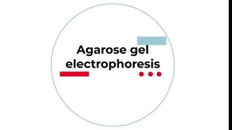 Thumbnail for Module 1 agarose gel electrophoresis setup