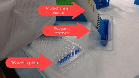 Thumbnail for entry Using Multichannel pipette on a 96 wells tray