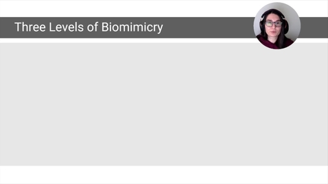 Thumbnail for Biomimicry, Section 4