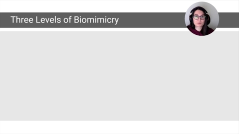 Thumbnail for entry Biomimicry, Section 4