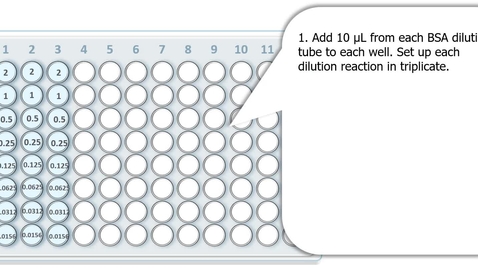 Thumbnail for Workflow - Bradford assay plate setup