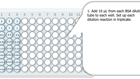 Thumbnail for entry Workflow - Bradford assay plate setup